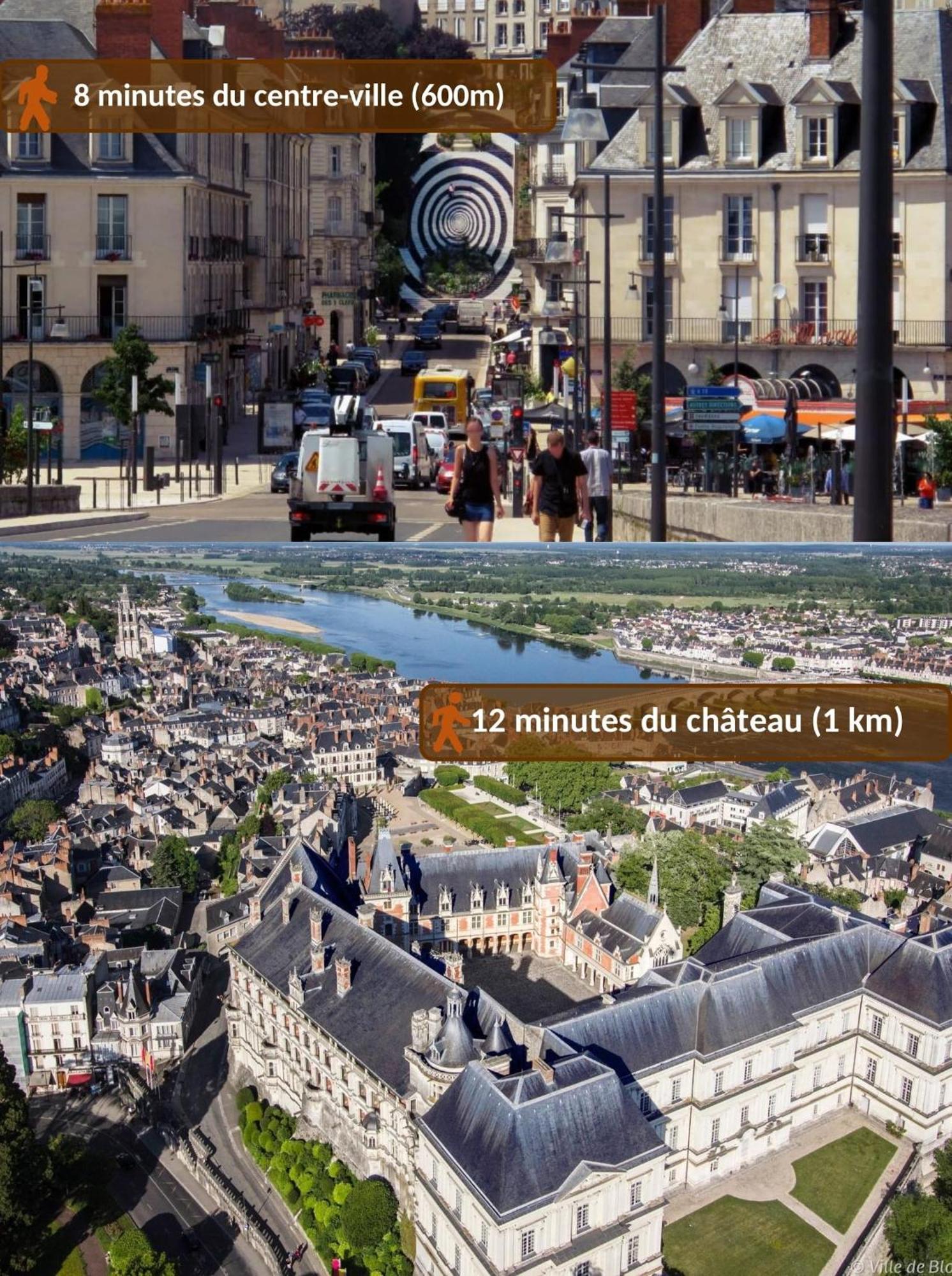 Maison Royale - Idealement Situee A Blois Exterior foto
